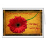 the daisy greeting cards