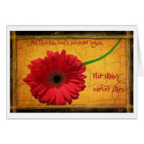 the daisy cards