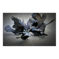 The Dance of the Crows posters