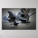 The Dance of the Crows posters