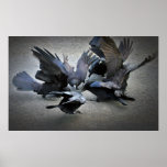 The Dance of the Crows Poster