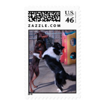 The dancing Doberman postage by wolfmountainstudio The dancing Doberman postage