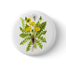 The Dandelion Collection buttons by Szubogi The Dandelion Collection buttons