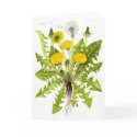 The Dandelion Collection cards by Szubogi The Dandelion Collection cards