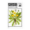 The Dandelion Collection postage by Szubogi The Dandelion Collection postage