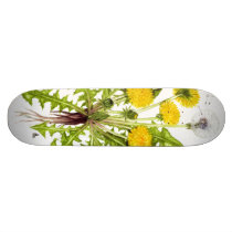 The Dandelion Collection skateboards by Szubogi The Dandelion Collection skateboards