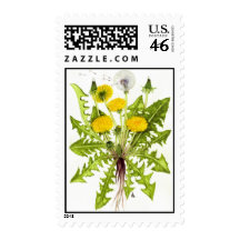 The Dandelion Collection Stamps
