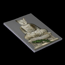 The Dao of Meow notebooks