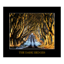The Dark Hedges posters