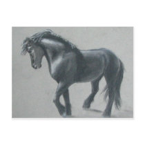 The Dark Horse Postcard