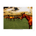 The Dark Horse posters by obscuro The Dark Horse posters