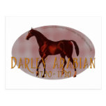 The Darley Arabian postcards