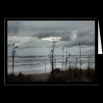 The Deep Grey Storm cards