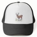 The Deer Hat