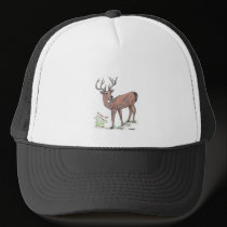 The Deer Hat
