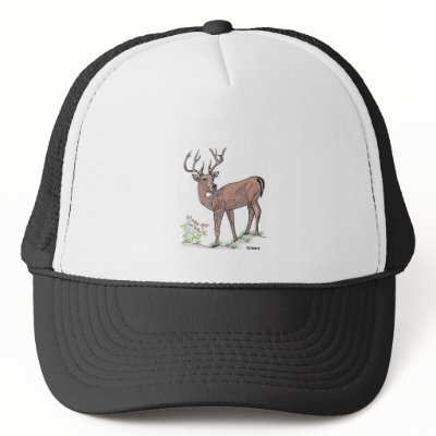 The Deer Hat by randymedlin
