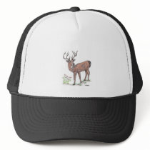 The Deer Hat