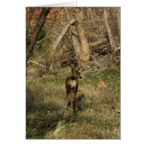 The Deer II cards by sumiko The Deer II cards