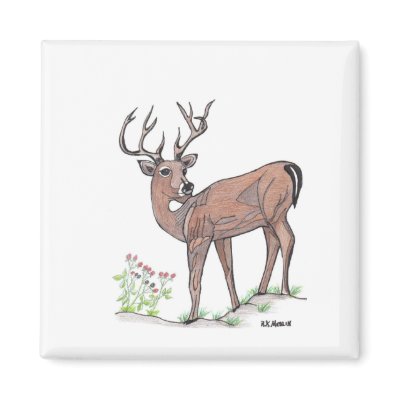 The Deer Refrigerator Magnet by randymedlin