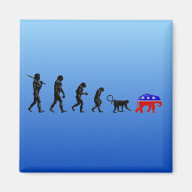 The Democratic Theory of Devolution Fridge Magnets