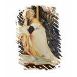 The Deposition of Christ t-shirts