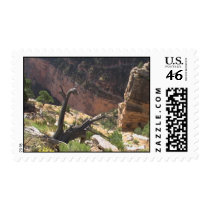 The Depth postage by tamaldutta The Depth postage