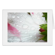 The dew greeting cards