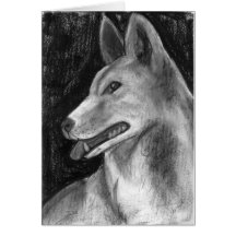 The Dingo Greeting Cards