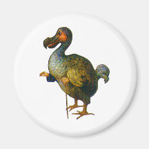 The Dodo Bird Refrigerator Magnets