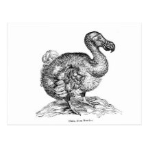 The Dodo Post Card