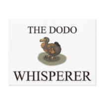The Dodo Whisperer Post Card