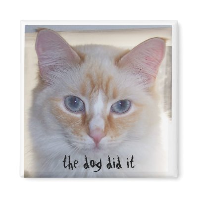THE DOG DID IT MAGNET by HappyCatDesign