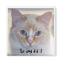 THE DOG DID IT magnets by HappyCatDesign THE DOG DID IT magnets