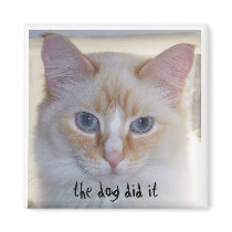 THE DOG DID IT magnets by HappyCatDesign THE DOG DID IT magnets