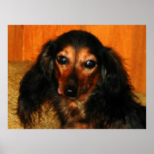 The Dog Faced Girl Poster