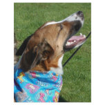 The dog letterhead template