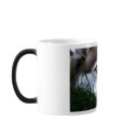 the dog mugs
