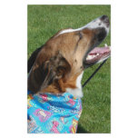 The dog stationery