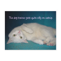 El adiestrador de perros consigue muy tonto en Cat tarjetas postales by myrtieshuman El adiestrador de perros consigue muy tonto en Cat tarjetas postales