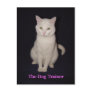 The Dog Trainer Postcards