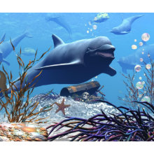 The Dolphins and The Treasure Chest Mousepad mousepad