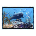 The Dolphins and The Treasure Chest posters