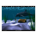 The Dolphin's Find posters by Illusions_of_Reality The Dolphin's Find posters