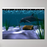 The Dolphin's Find Poster