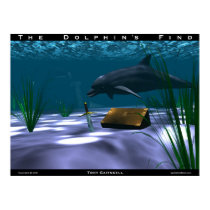 The Dolphin's Find posters