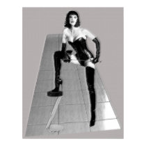 The Dominatrix 3D Posters posters by uniqueandkinky The Dominatrix 3D Posters posters