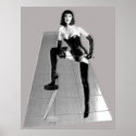 The Dominatrix 3D Posters posters