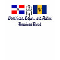 The Dominican Flag, flag-bb, Indian feather n, ... t-shirts by MixedMutt The Dominican Flag, flag-bb, Indian feather n, ... t-shirts