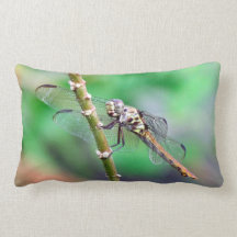 The Double Dragon Pillow