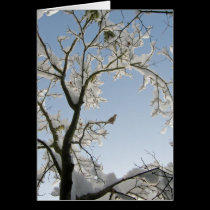 The Dove replies, "Noel." cards